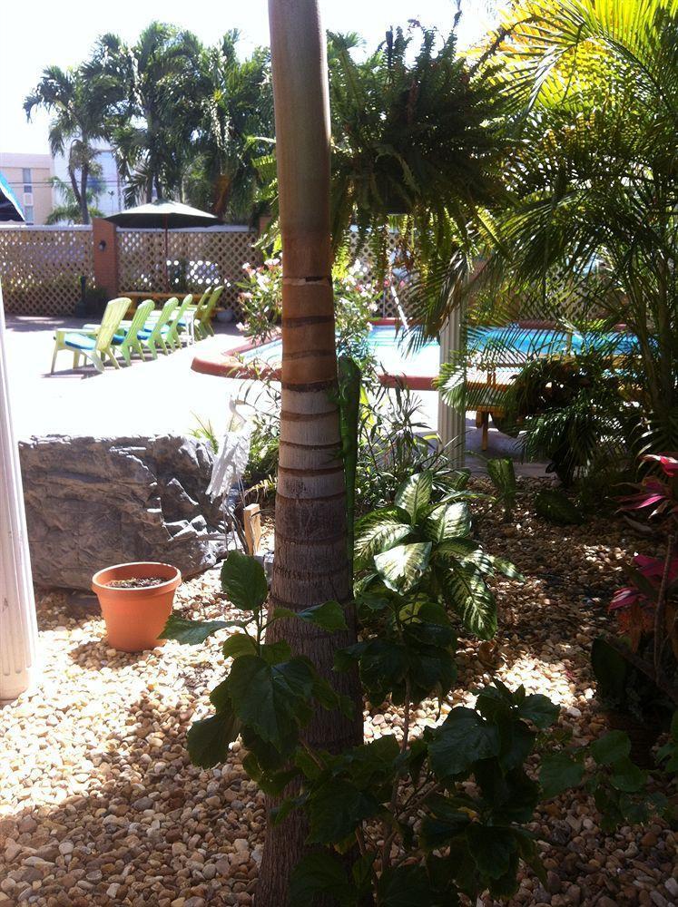 The Bridge At Cordova Boutique Hotel And Hostel Fort Lauderdale Luaran gambar